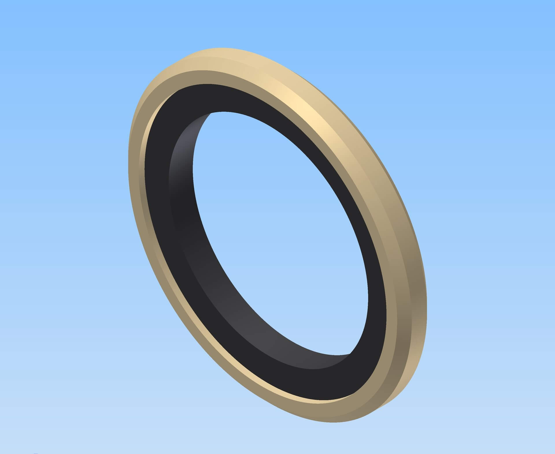 Agc 005 a composite seal tiff; fluolion xtreme profiled plastic tiff; piston sealing complete seal