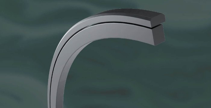 Lionsele p banner small